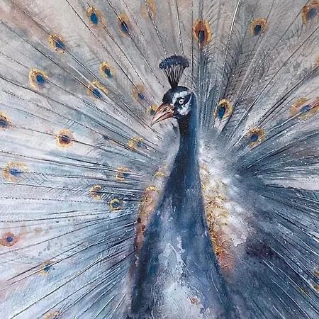 公寓 Balcon Del Mar A&v Ocen View